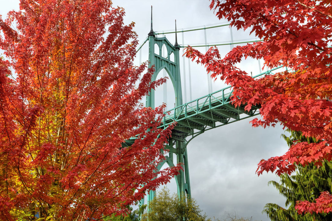 11 Romantic Places to Propose Near Portland